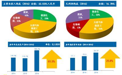 2024新奥正版资料,实时数据分析_WTZ50.559定向版