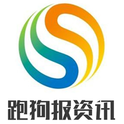 7777788888跑狗论坛版,精细评估方案_YDS29.471自由版