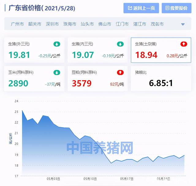广东最新生猪价格背后的温馨故事