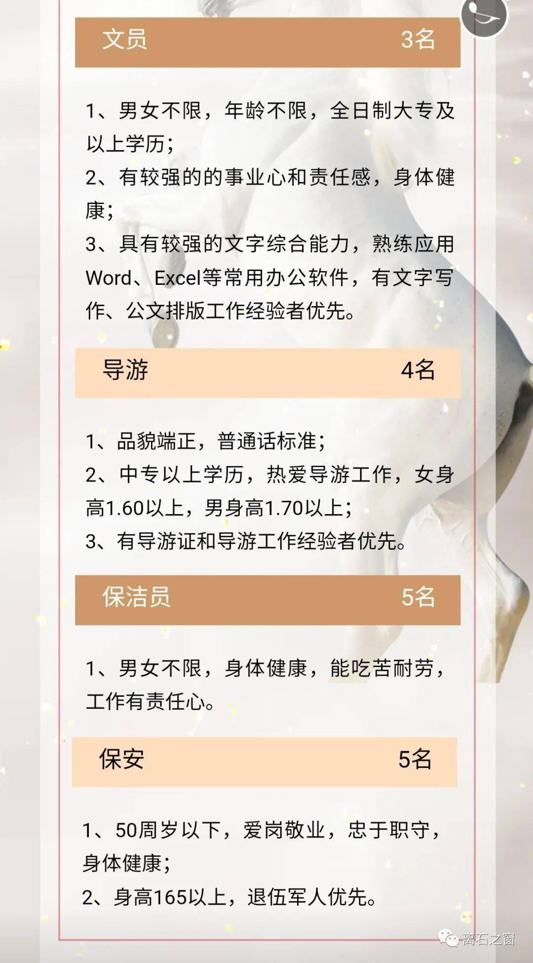 仙河最新招聘信息揭秘，职业发展的新天地探索