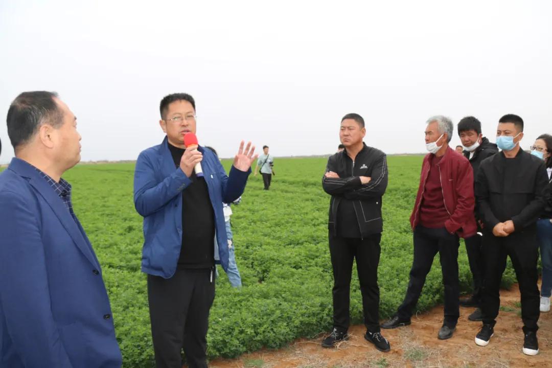 官方兽医改革最新动态更新，最新消息汇总