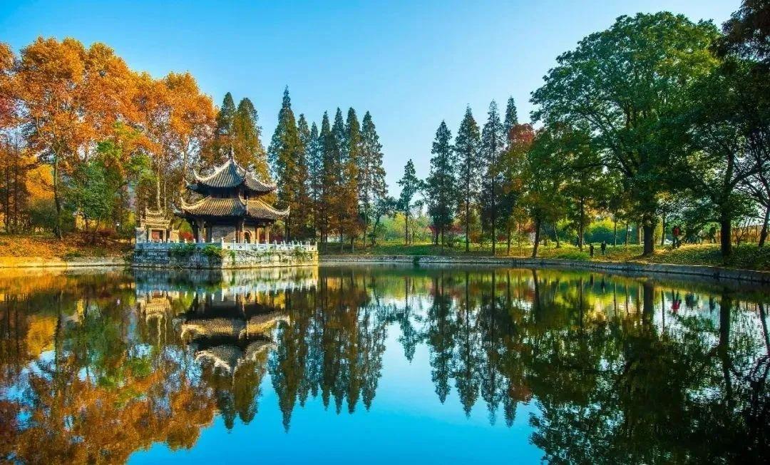 襄阳城南片区最新动态更新