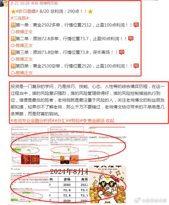 新澳门免费资料：全,全面性解释说明_XWC83.170竞技版