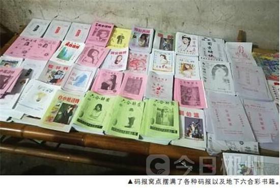 澳门六合三码中特,系统评估分析_DDN9.217业界版