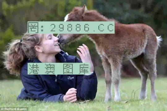 濠江论坛一肖一码,具象化表达解说_FHK9.962水晶版