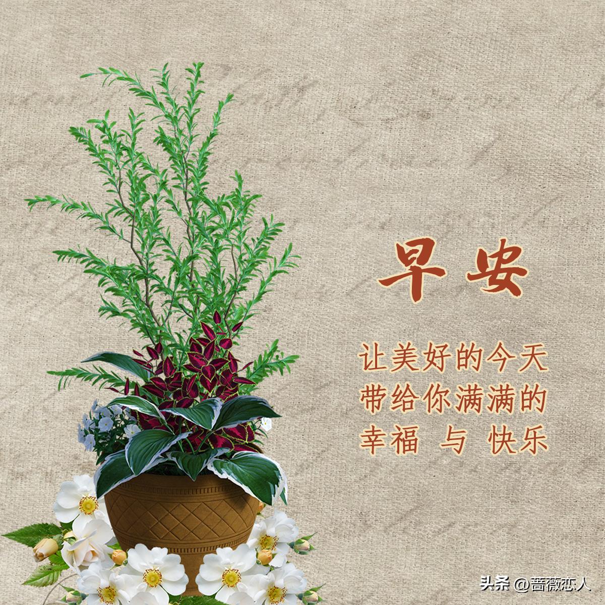 2024天天彩资料大全免费600,持续改进策略_无线版90.980
