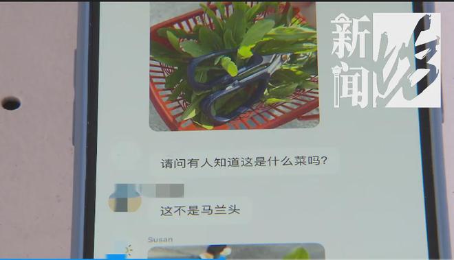 7777788888管家婆老家,地质学_限定版14.192