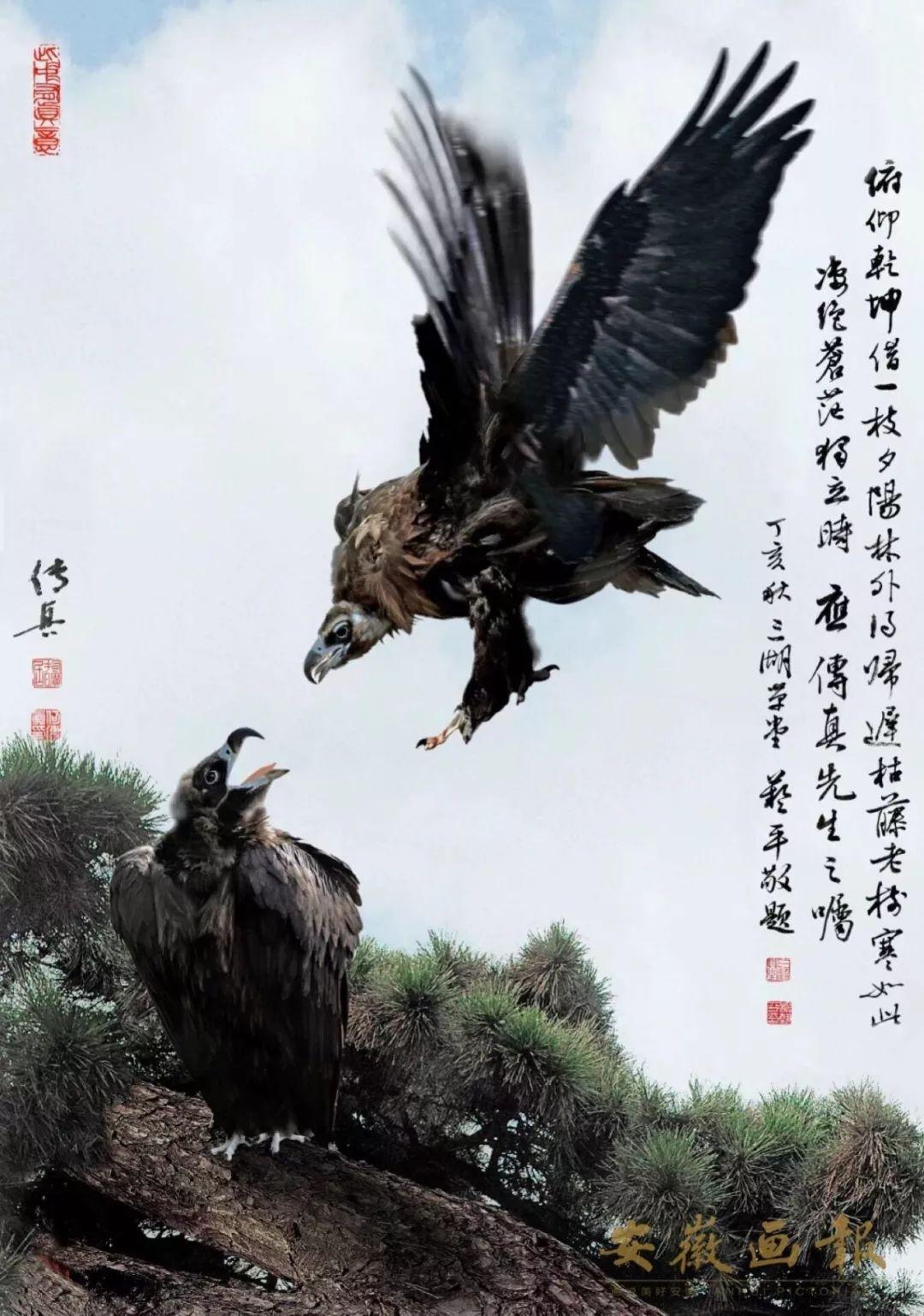 澳门传真～澳门传真,方案优化实施_梦想版6.680