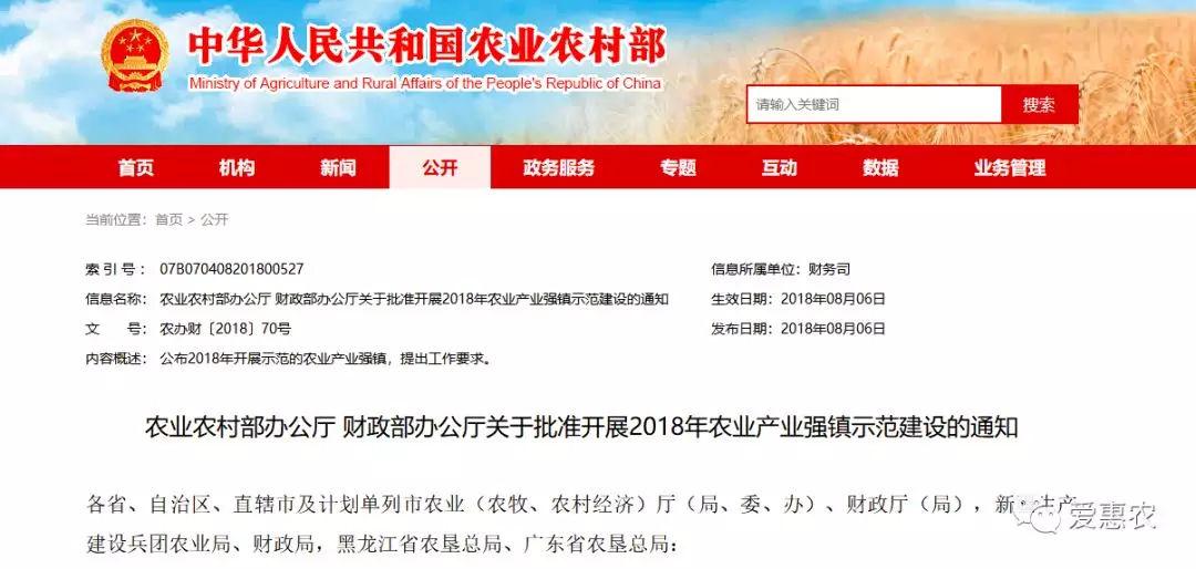 肇东信息网最新分类信息概览