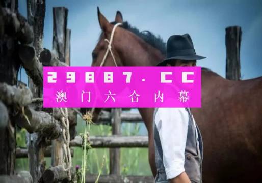 澳门一肖一码一中一肖一特一中,行动规划执行_设计师版78.484