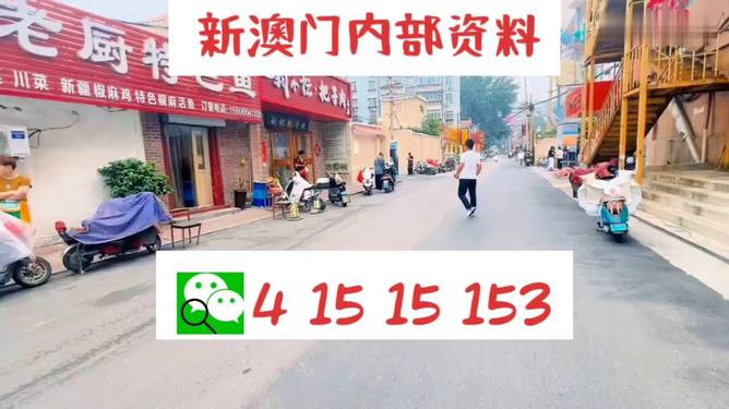 2024澳门天天开好彩大全65期,案例实证分析_DIY版51.171
