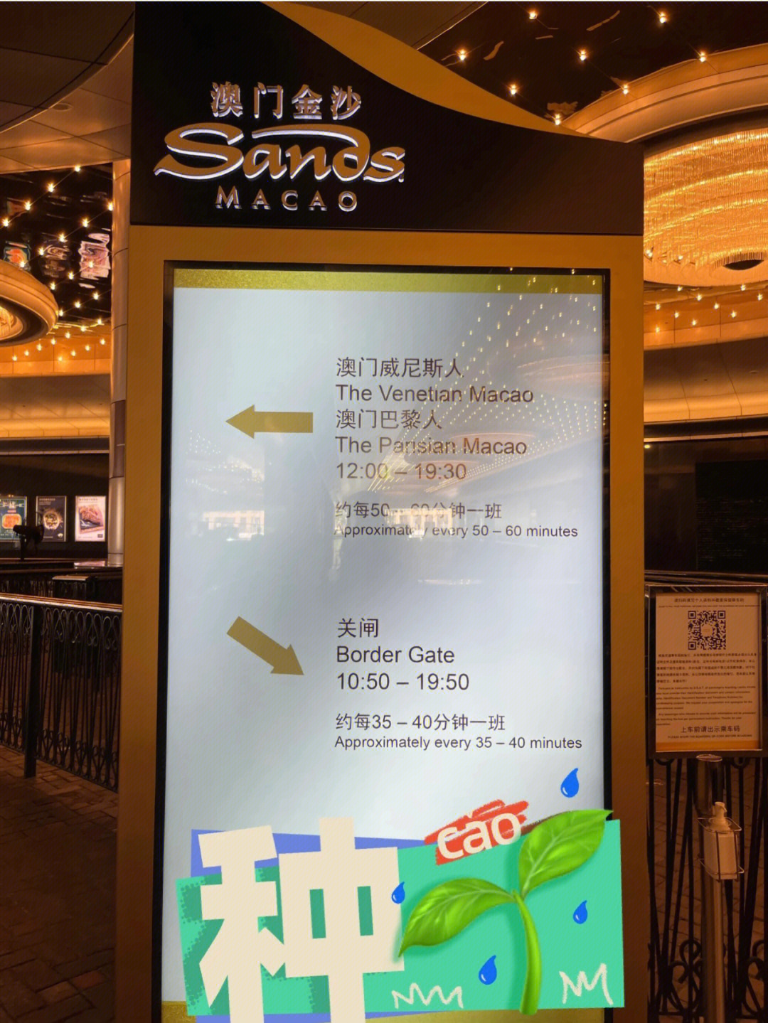 澳门蓝月亮精选免费大全,高速响应计划执行_内容创作版99.329