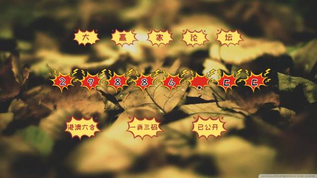 澳门天天开彩好正版,高效执行方案_生活版9.663