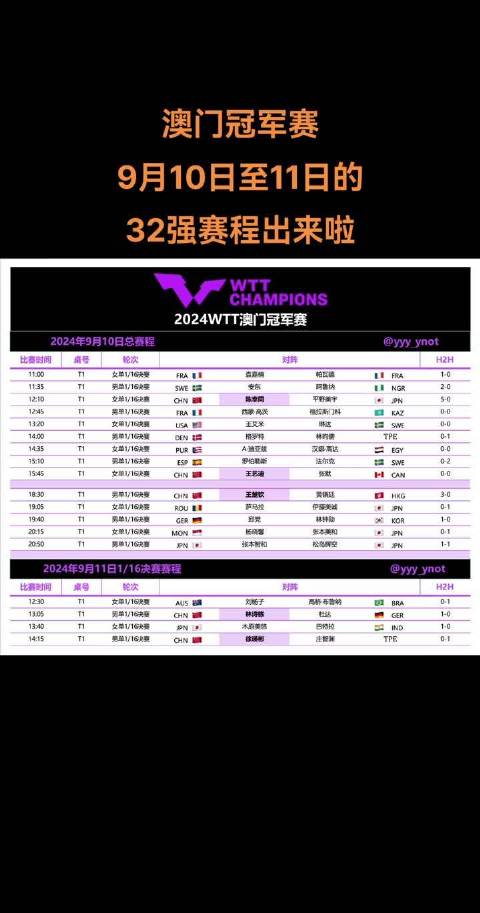 2024今晚新澳门马出什么,标准执行具体评价_闪电版61.336