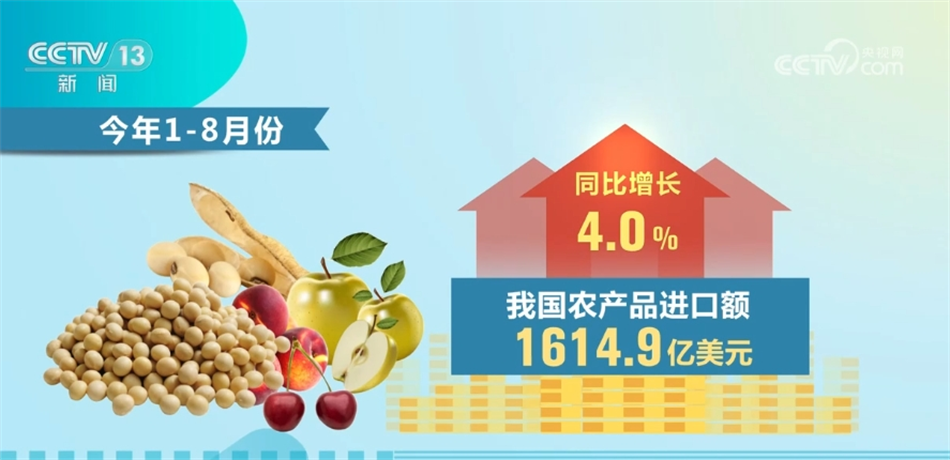 王中王72396免费版功能介绍,决策支持方案_轻量版82.949