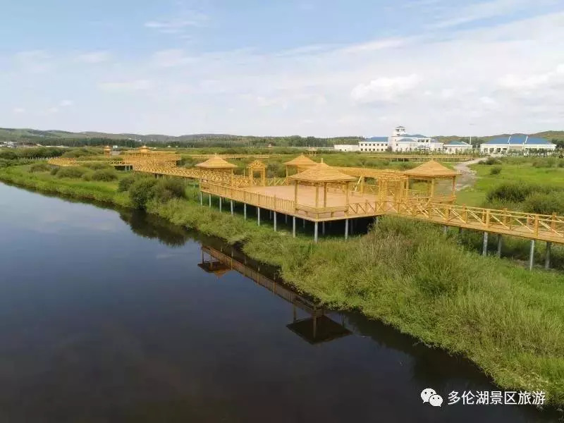 多伦贴吧最新消息2016，时代印记与青年声音揭秘