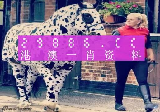 王中王一肖一特一中一澳,专业解读操行解决_发布版48.304