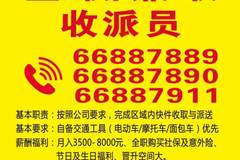 顺德乐从招聘网最新招聘动态，科技引领未来，指尖轻松求职