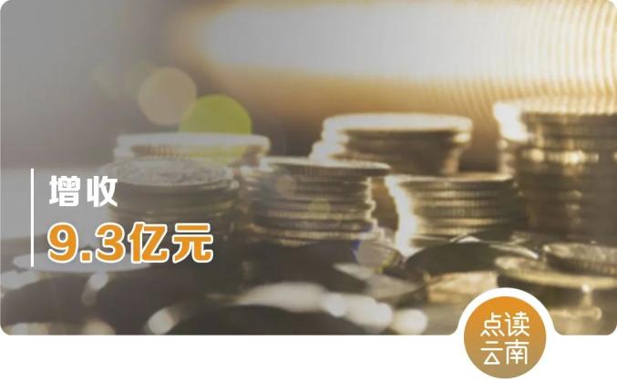 2024新澳门6合彩官方网,稳健设计策略_硬核版3.939