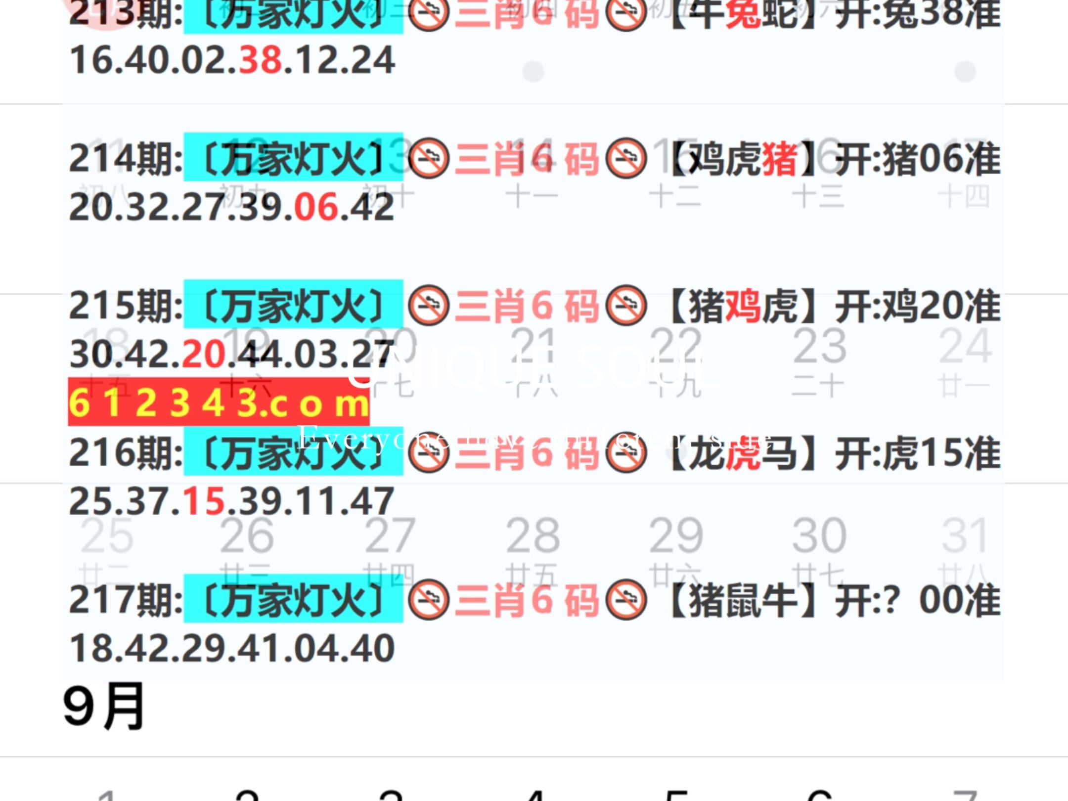 新奥2024一肖一码,系统评估分析_限量版92.804