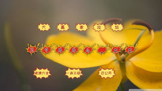 澳门4949最快开奖结果,机制评估方案_高级版2.919