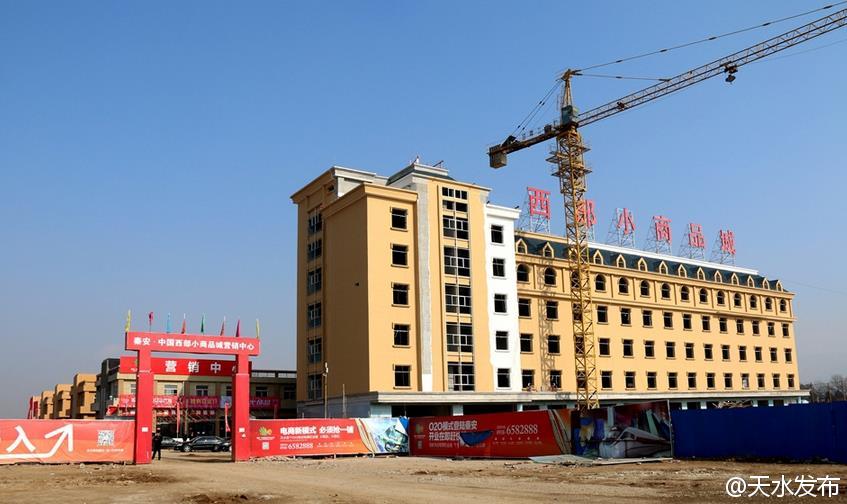 秦安小商品城最新动态概览