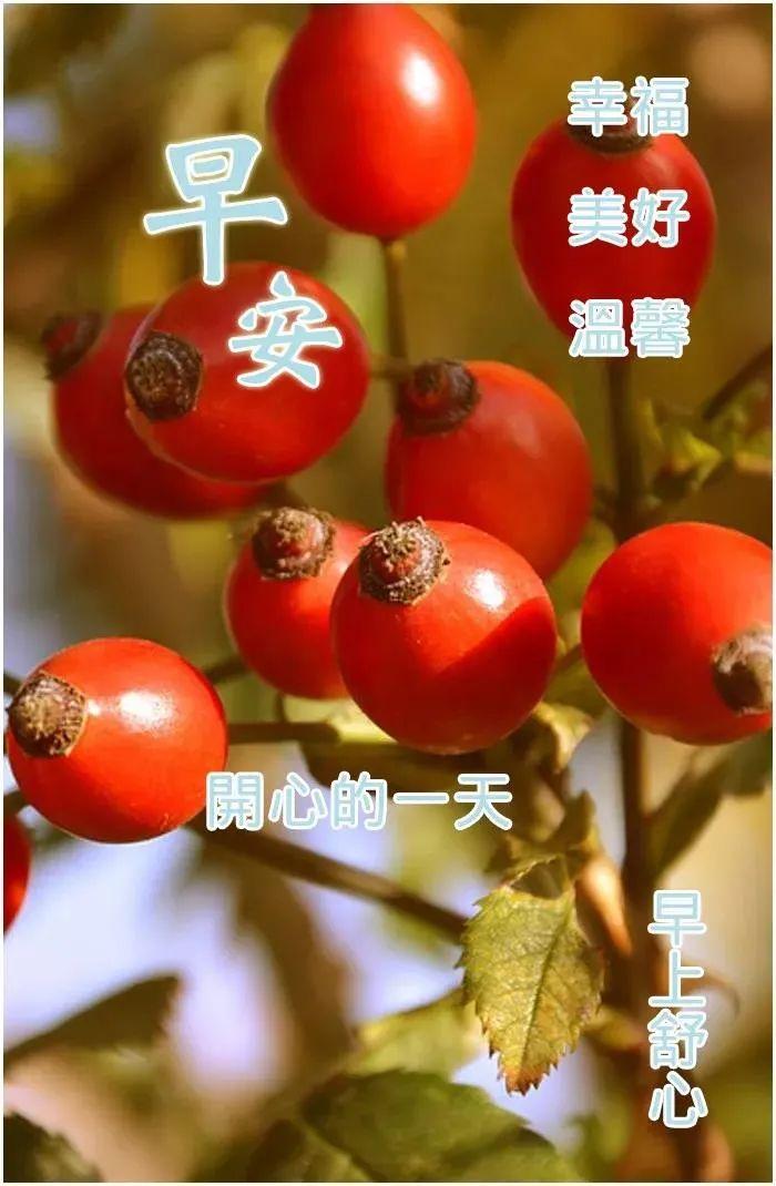 最新经典周一问候短信集锦