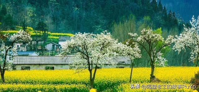 临金高速最新消息揭秘，2024年展望🌟