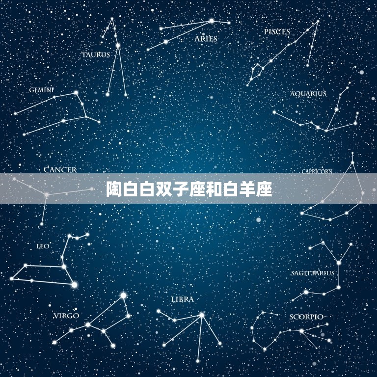 陶白白最新双子座观点解析