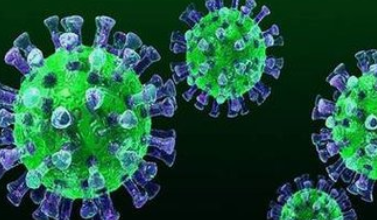 最新型的冠状病毒,最新型的冠状病毒，科学解读与应对建议