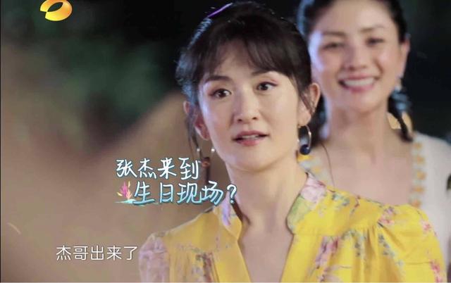 谢娜妻子的浪漫旅行最新步骤指南，最新动态与精彩体验