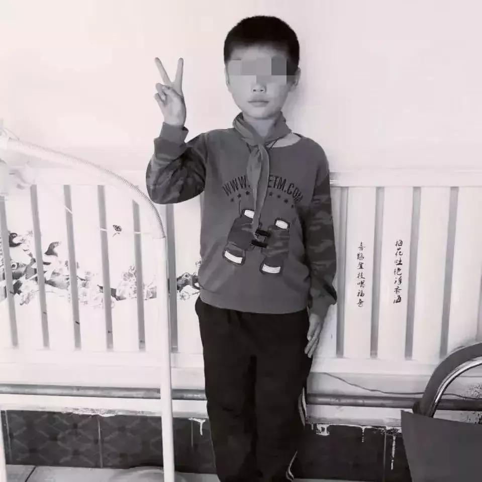 李泽宇最新动态，全方位解读影响与争议。