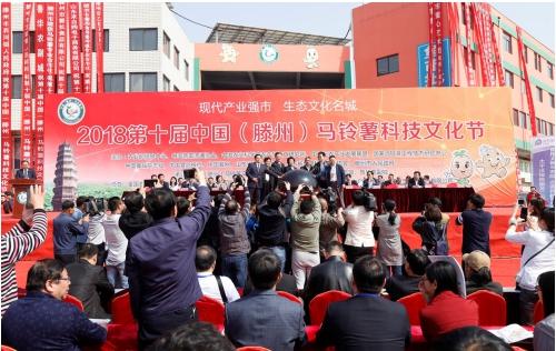 ZHO共享纸巾最新动态，追寻自然美景的纸巾之旅