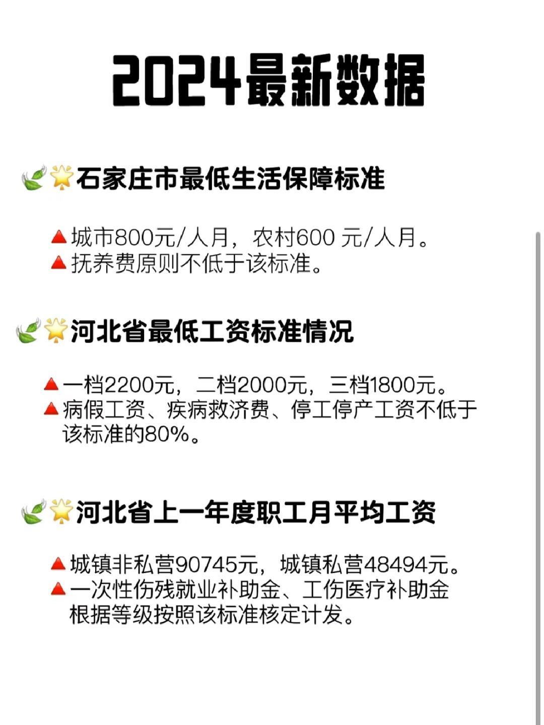 2024年低保最新政策深度论述