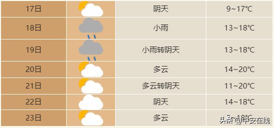 合肥最新天气预报及温馨日常趣事分享