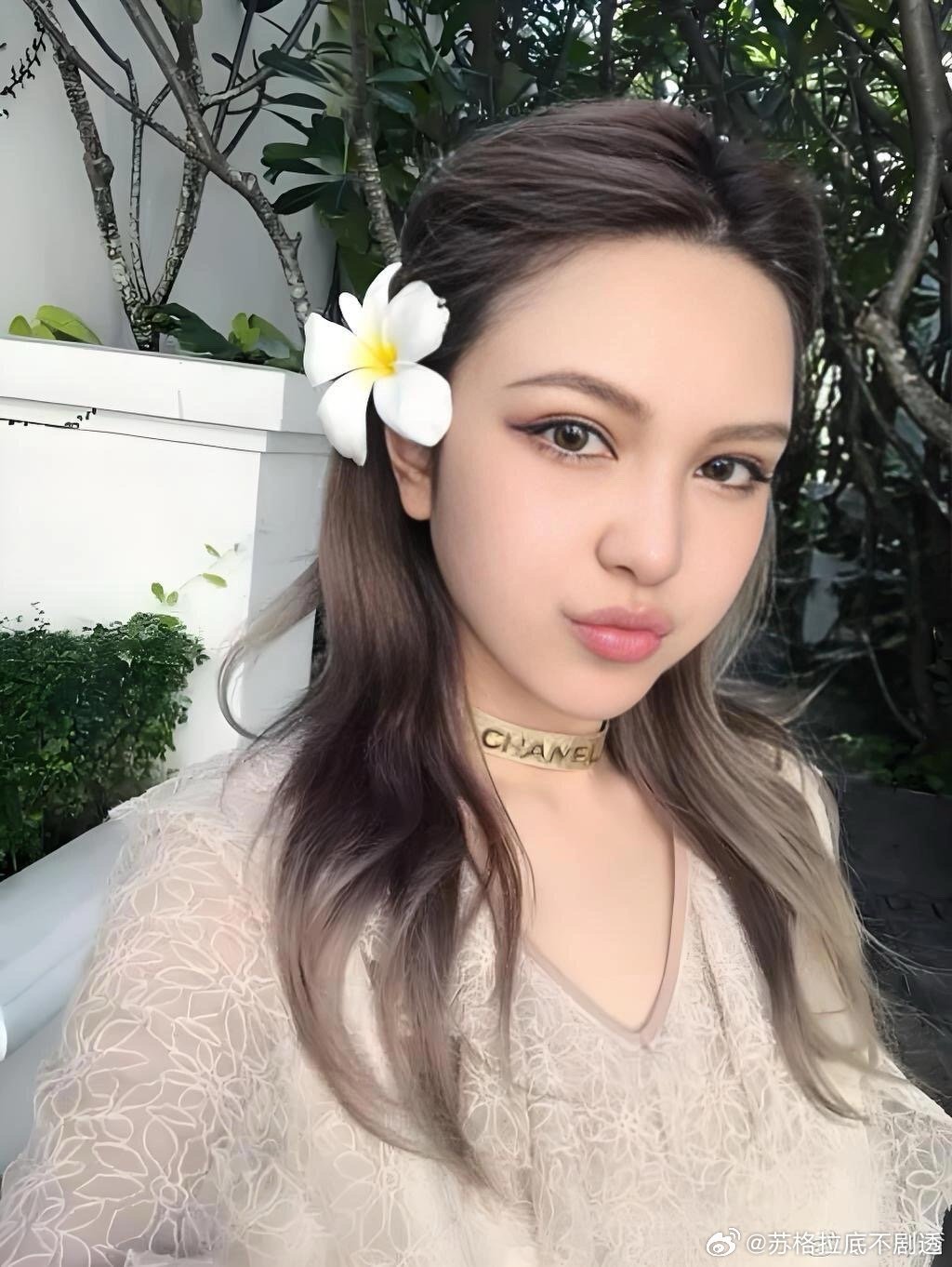 周扬青最新消息揭秘，如何获取并紧跟其最新动态？
