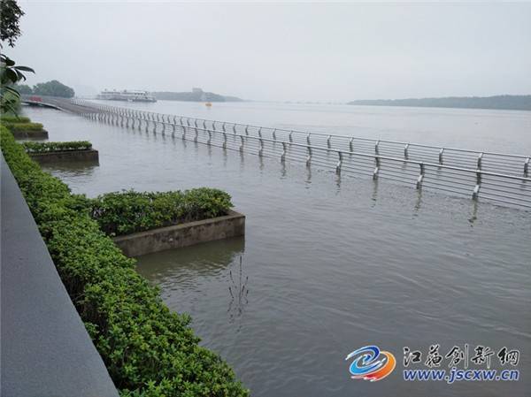南京长江洪峰最新动态，防汛抗洪形势分析与应对策略揭秘