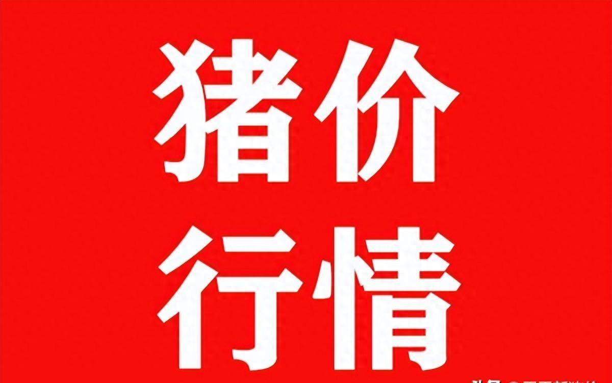 福建11选5最新走势图抢先看，掌握幸运秘籍！