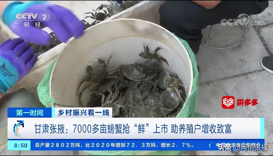 张掖上市公司之旅，自然之美唤醒心灵之旅