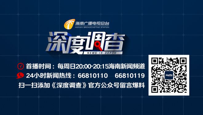 最新资讯阁，科技、社会与生活的新动态概览