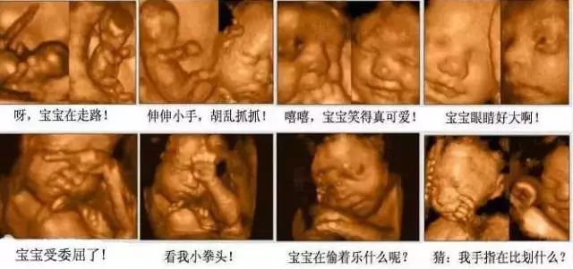 脱硫喷淋管 第127页