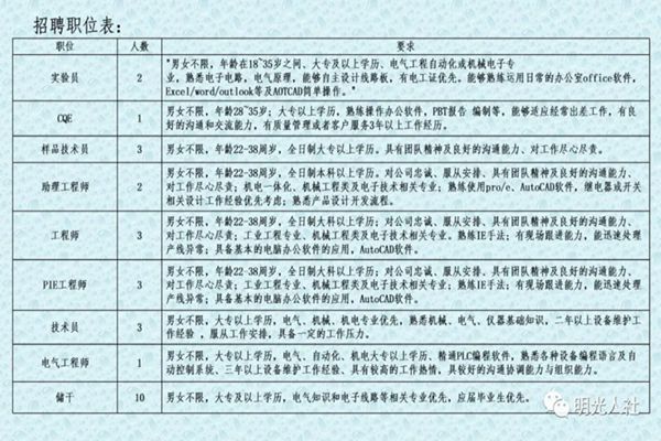 定州最新招聘信息，多维度视角下的深度解析