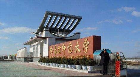 哈师大最新发展论述概览
