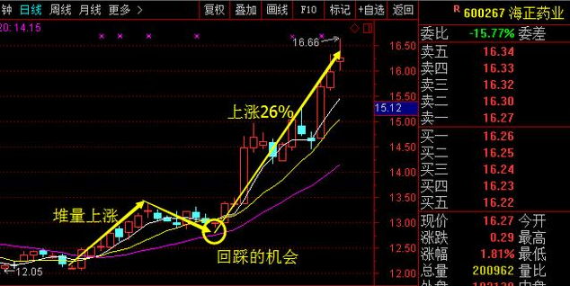 李大霄看好的十只股票深度解析与个人观点分享
