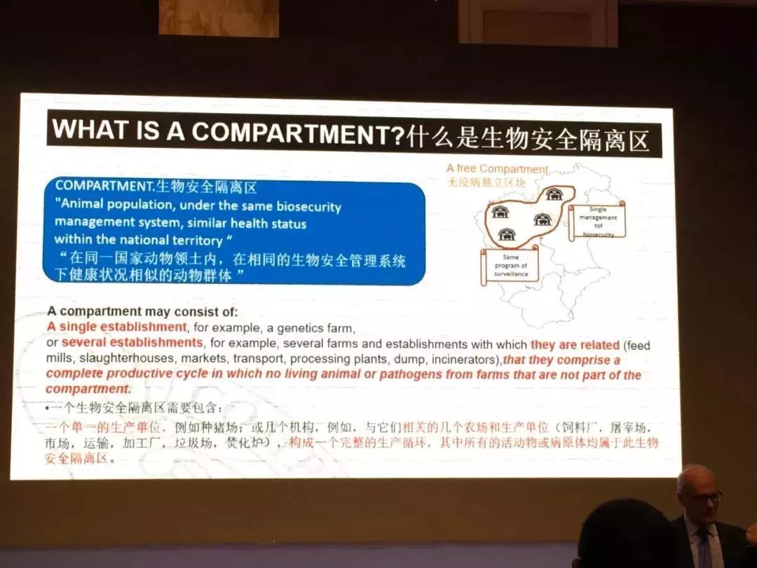 最新洲界大师资讯动态更新