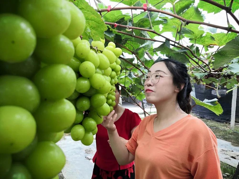 企业上市公司，心灵与自然的美丽遨游之旅