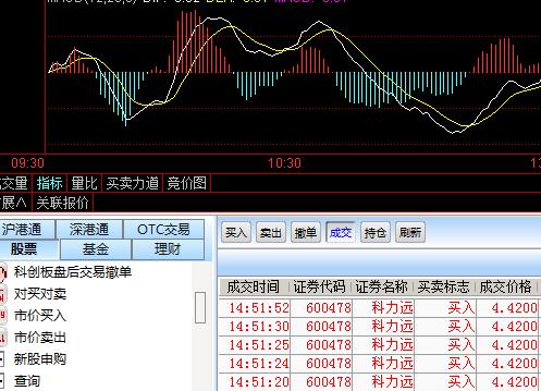 揭秘600478股票行情与小巷深处的特色小店探秘之旅的双重魅力。