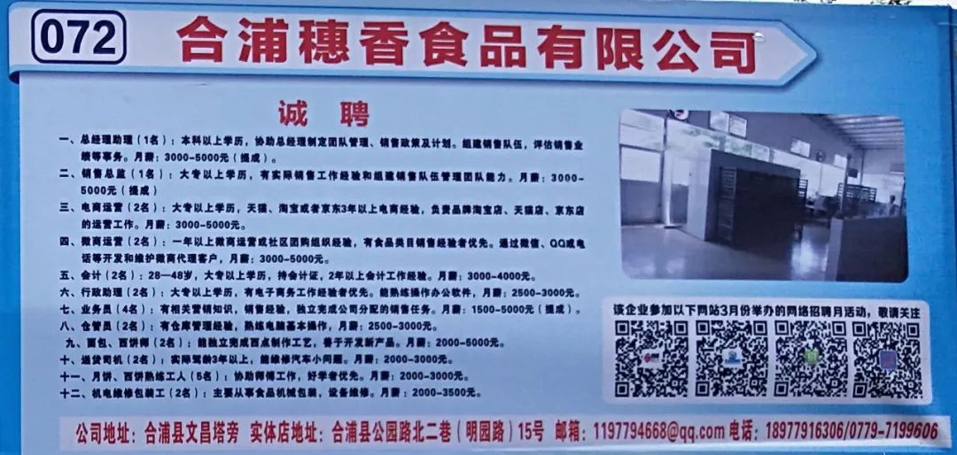 合浦最新职位招聘全面解析，观点阐述与分析
