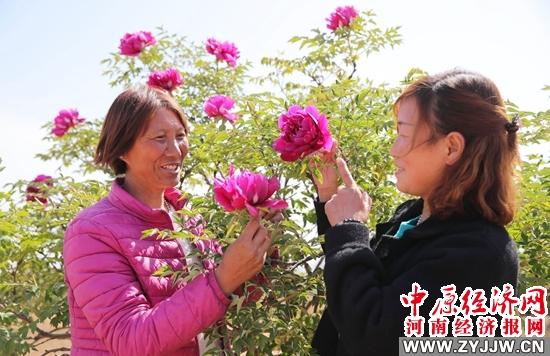 元宝枫油价格探秘，小巷独特风味背后的秘密