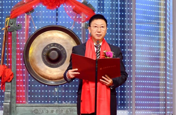 科博达上市，小巷宝藏的魅力与特色小店的无限探索